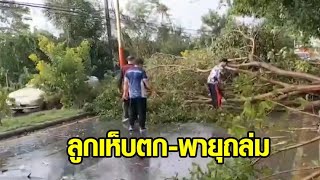 บางบัวทองอ่วม! ลูกเห็บตก-พายุถล่ม โกดังล้มทับบ้านเรือน ต้นไม้โค่นทับรถบัส เสียหายเพียบ