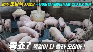 [AT면역사료] 직원이 극찬하는 에이티 사료