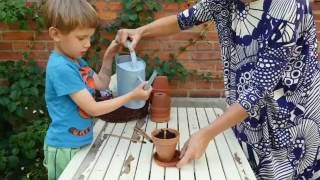 Sprout - A pencil you can plant after use