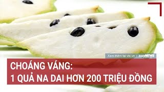 Choáng váng: 1 quả na dai được bán với giá hơn 200 triệu đồng | Vấn đề hôm nay