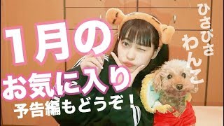 ♡1月のお気に入り♡ひさびさわんこ！【2018 January Favorite】