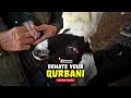 Qurbani Donate