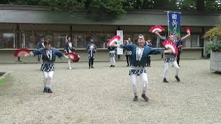 ５．９．１０第１８回どんとロード八幡雀踊り（その２）