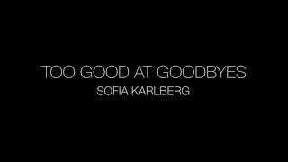 💔【中英字幕】Sam Smith - Too Good At Goodbyes (Sofia Karlberg Cover) lyrics