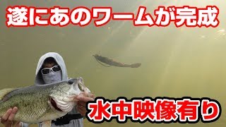 6月上旬、水中映像有り!!遂にあのワームが完成【ビッグパドル】【琵琶湖バス釣り】