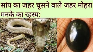 Snake Gem/Zahar Mohra/(Saamp Ka Manka)..Myth or Truth..Mystery Unlocked.... First Time on YouTube 🙏