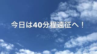 ミナココ鳩レース1204