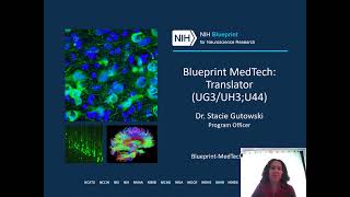 Blueprint MedTech: Translator