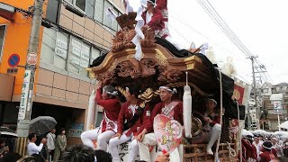 2024年 河内長野市市制施行70周年記念 祝賀地車パレード 午後（長野地区 長野）