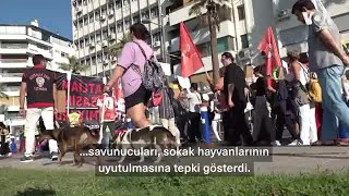 İzmir'de hayvanseverler sokak hayvanları yasasını protesto etti| VOA Türkçe