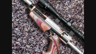 custom air rifles