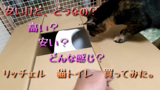 【保護猫】リッチェル猫トイレのメリットとデメリットを比較してみた#多頭飼育 #野良猫から家猫へ #保護猫 #猫トイレ