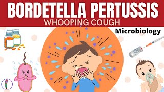 Whooping cough / Bordetella pertussis - All you need to know