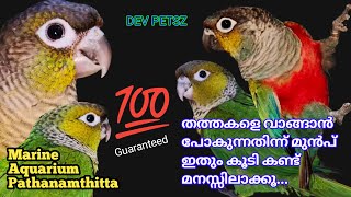 വ്യത്യസ്ഥ ഇനം Handfeeding chick's കളെ വേണോ?  നല്ല ഇനം Breeding  Pair കളെയും കാണാം Marine Aquarium