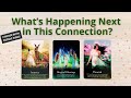 🦋WHAT WILL HAPPEN NEXT IN YOUR CONNECTION? 💘 PICK A CARD 💝 LOVE TAROT READING