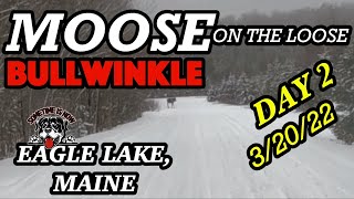 SNOWMOBILING AROOSTOOK COUNTY DAY 2 | 3-20-22 TO ALAGASH