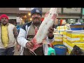 ghazipur fish mandi delhi today price 2025 ghazipur machli mandi wholesale ghazipur fish market near