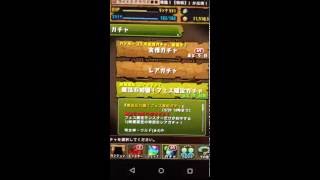 ≪パズドラ≫フェス限確定ガチャ4回引いた結果