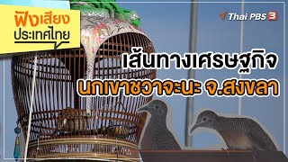 เส้นทางเศรษฐกิจนกเขาชวาจะนะ จ.สงขลา : ฟังเสียงประเทศไทย