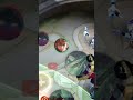 should ve stunned him for 69 secs ~ mobilelegends argus mlbb short shorts