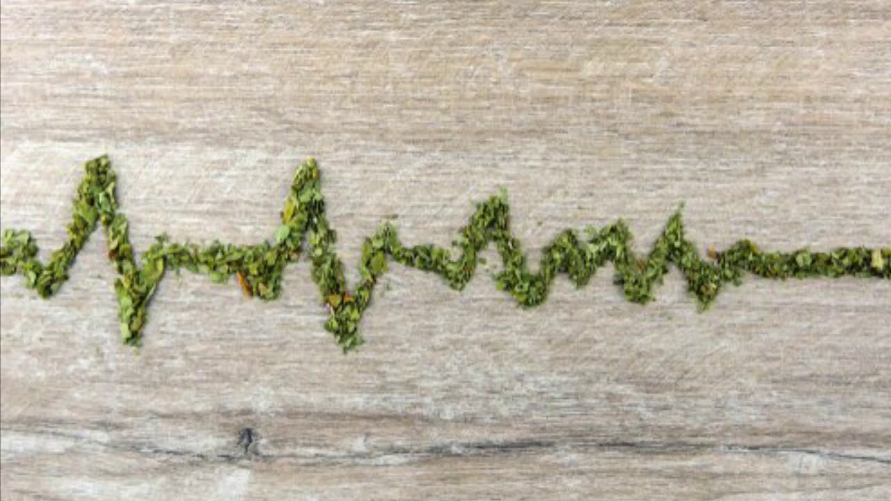 Marijuanaville Youtube