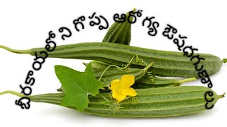 బీరకాయలోని ఆరోగ్య ఔషధగుణాలు # ఉపయోగాలు #Ridge gourd health benifits #beerakaaya #uses #