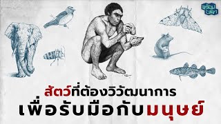 6 ตัวอย่างสัตว์ที่ต้องวิวัฒนาการเพื่อให้รอดพ้นเงื้อมมือมนุษย์