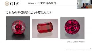 GIAにおける宝石鑑別のための先端機器 | 第25回 GIA Tokyo GemFest