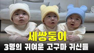 엄마가 고구마를 먹자 벌어진 일ㅣ아기 먹방ㅣ삼둥이 현실 육아 24시간ㅣ웃긴 영상 ㅣ9개월 아가ㅣ가정보육ㅣ육아 브이로그ㅣ출산장려ㅣVLOG