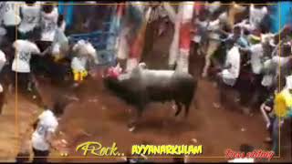 Jallikattu video Ayyanarkulam Rock mass