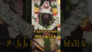 Temple Built on 999 Lives | Uthirakosamangai Temple  உத்திரகோசமங்கை வரலாறு #god #shiva #tamil