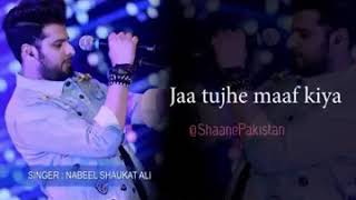 Do bol ost male version by nabeel shaukt lyrical video