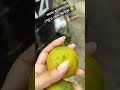 টকের বাপ কমলা লেবু #mitul #mitulmeva #vlog #newvlog #videoblog #fruits #story #short #bangladesh