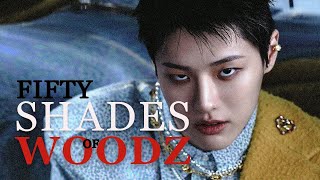 𝐅𝐈𝐅𝐓𝐘 𝐒𝐇𝐀𝐃𝐄𝐒 𝐎𝐅 𝐖𝐎𝐎𝐃𝐙 (조승연) : crazy in love | cho seungyoun fmv