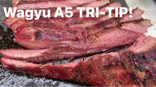 Elevate Your Grill Game: Perfecting #Wagyu #TriTip on #YS640 #buddyknowsbbq!