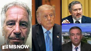 Epstein haunts Trump in 2026! Rebel who GOT FILES RELEASED fights $33M bid to stop him