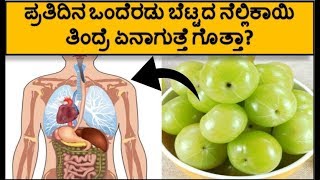 ಬೆಟ್ಟದ ನೆಲ್ಲಿಕಾಯಿ ಉಪಯೋಗಗಳು | Health Benefits of Amla (Gooseberry)