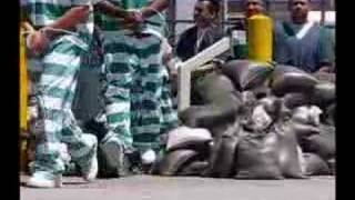 Polk County inmates moved
