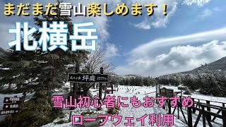 【雪山入門】北横岳～麓は桜咲く春！でもまだまだ雪山楽しみたい！そんなあなたは北横岳へ登りましょう【山さんぽ】