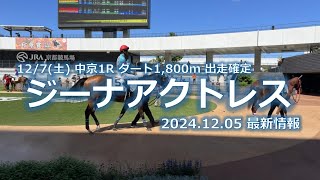 『ジーナアクトレス』12/7(土) 中京1R ダート1,800m出走確定(2024.12.05最新情報)