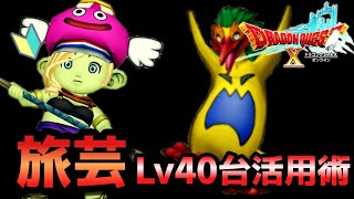 旅芸人Lv45-50【23職Lv133が最初から細かくやるドラクエ10】Ver.1.0