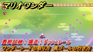 マリオワンダー　最終試練！爆走！ダッシュレール　ワンダーシードの取り方　真ゴールの行き方　＃８１　【スーパーマリオブラザーズ ワンダー】