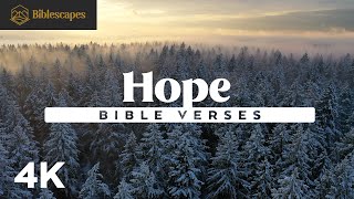 Bible Verses on "Hope" | 4K | 8 Minutes | 35+ Scriptures | Audio Bible + Music