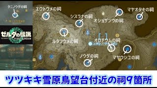 ツツキキ雪原鳥望台の周辺の全9箇所の祠の完全攻略​！【ゼルダの伝説ティアーズオブザキングダム】