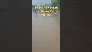 Heavy Rain at Lala Ta. Abdasa Kutch Gujarat