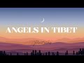 Angels In Tibet lyrics ✨