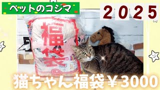 【2025】ペットのコジマさん猫ちゃん福袋の中身が3000円じゃなさすぎる！！大満足の大ボリューム！！！【むー子にプレゼント】