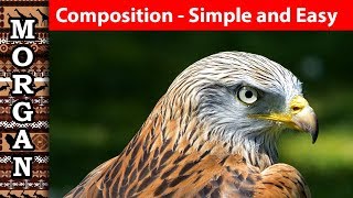 Composition in art, simple and easy - wildlife art