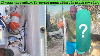 Σήκωμα παραγάδιών, ένα με ζωντανό, και ένα με τον γαύρο