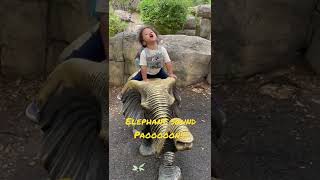 Elephant rider | Baby elephant | Elephant walk |Animal sound |象の鳴き声| 象さん|